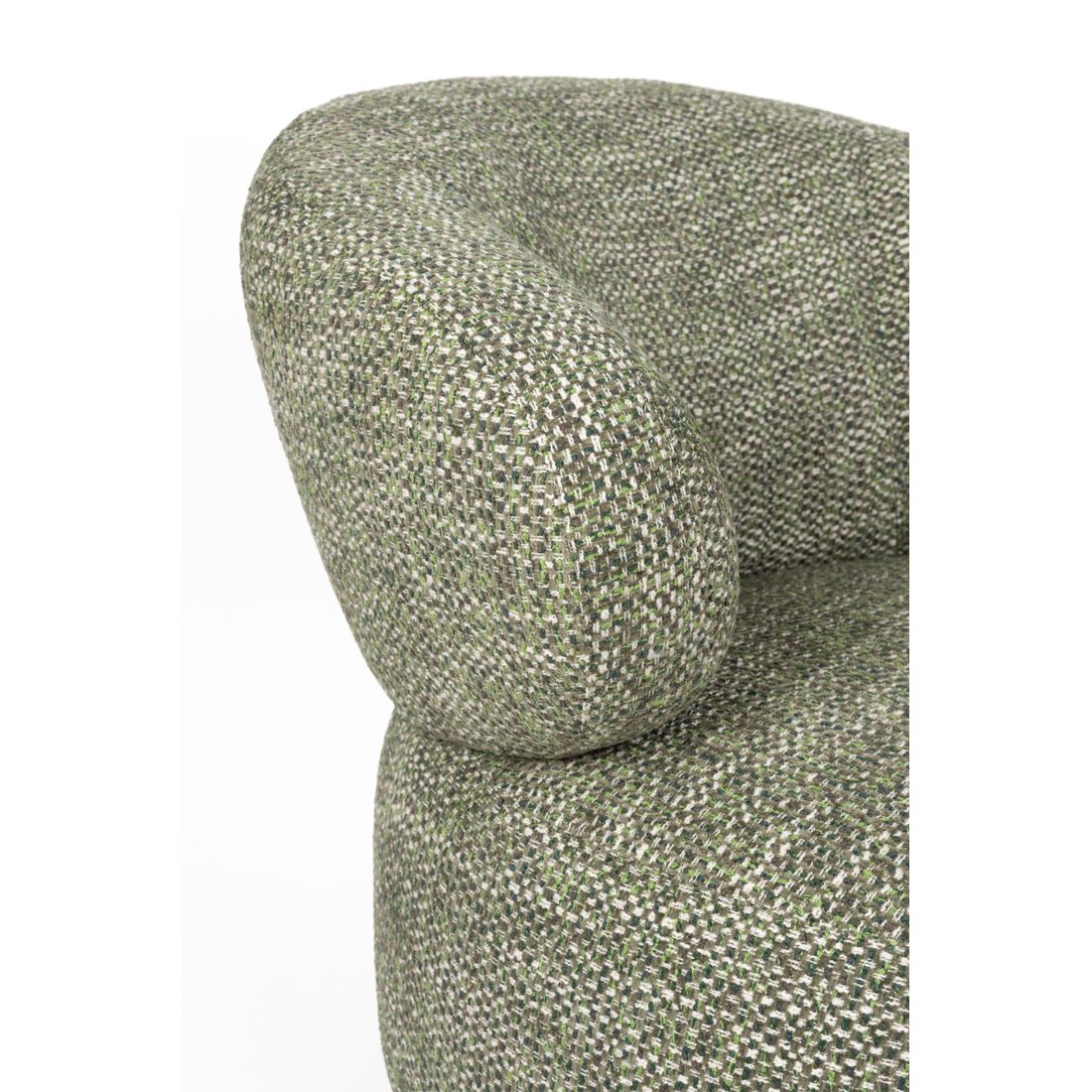 Dutchbone Fauteuil Walter Groen - KwaliteitWonen.nl