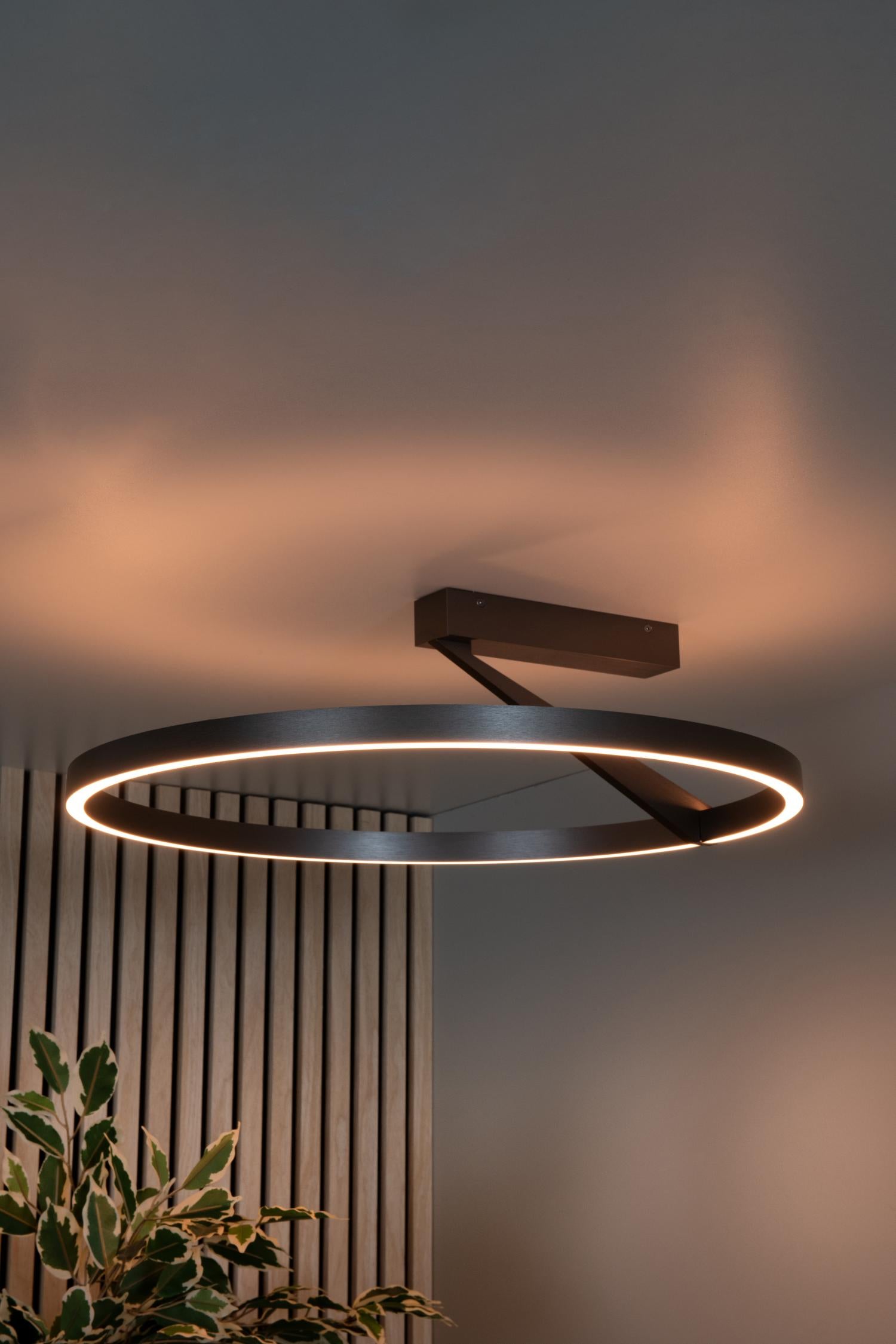 Lucide APPLAUSE - Plafonnière - Ø 60 cm - LED Dimb. - CCT - 1x40W 2200K/4000K - Grijs ijzer | Premium - KwaliteitWonen.nl