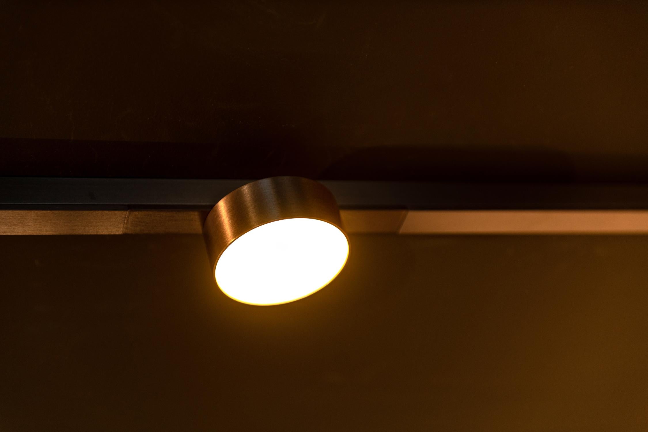 Lucide Premium LINIAL FIXT Railspot - 1-fase Railsysteem / Smart Railverlichting - Smart - 48V Track - 1xLED - Champagne - KwaliteitWonen.nl