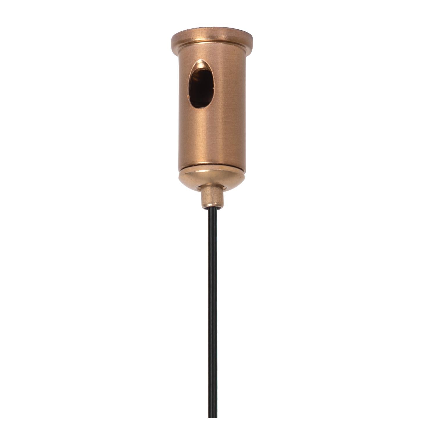 Lucide Premium LINIAL Ophangkabel - 1-fase Railsysteem / Railverlichting - Smart - 48V Track - Champagne - KwaliteitWonen.nl