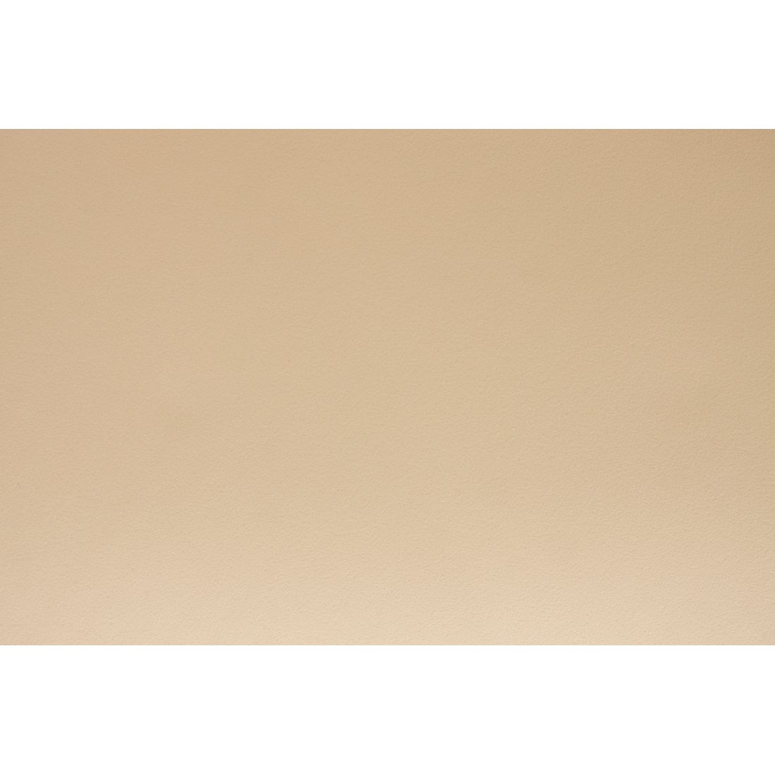 White Label Living Eetkamerstoel Leon Beige