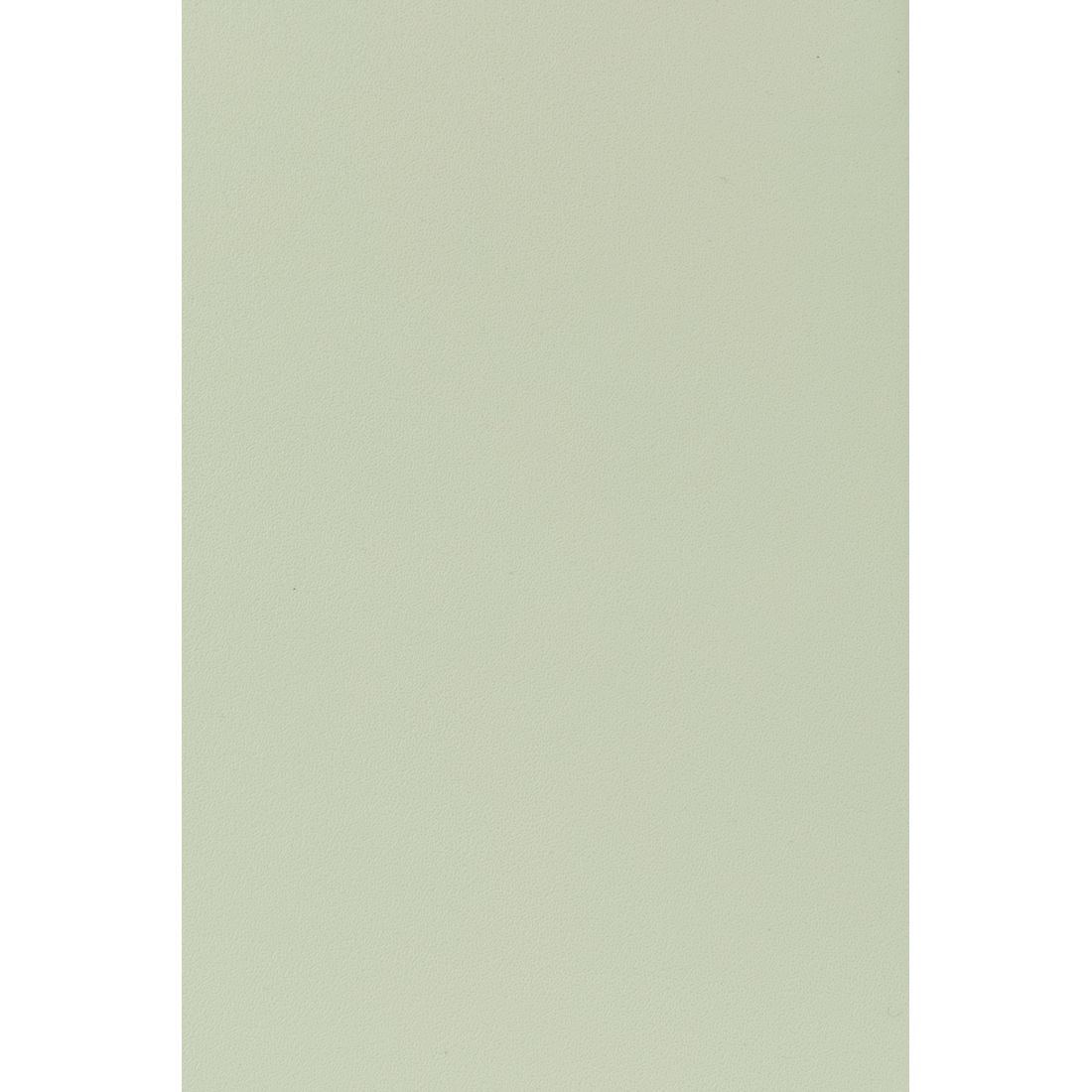 White Label Living Eetkamerstoel & Tuinstoel Clive Lichtgroen