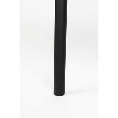 White Label Living Eetkamerstoel Sanne Terra