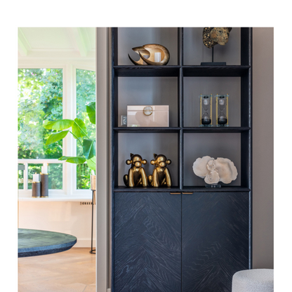 Richmond Interiors Blackbone Brass Boekenkast – 2 Deuren – Zwart/Brass