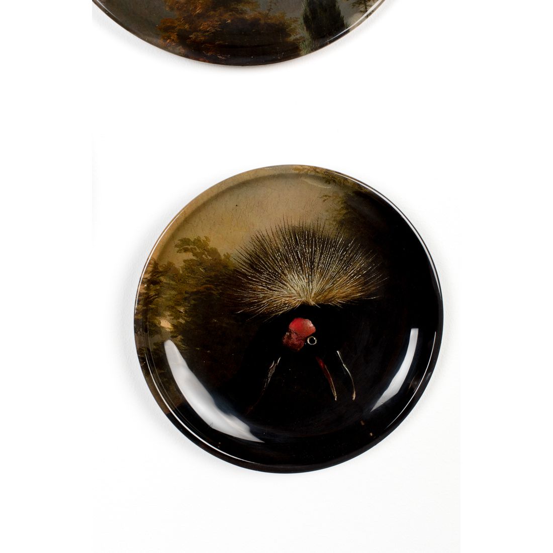 Bold Monkey Wandlamp No Food Here Birds (Set van 4)