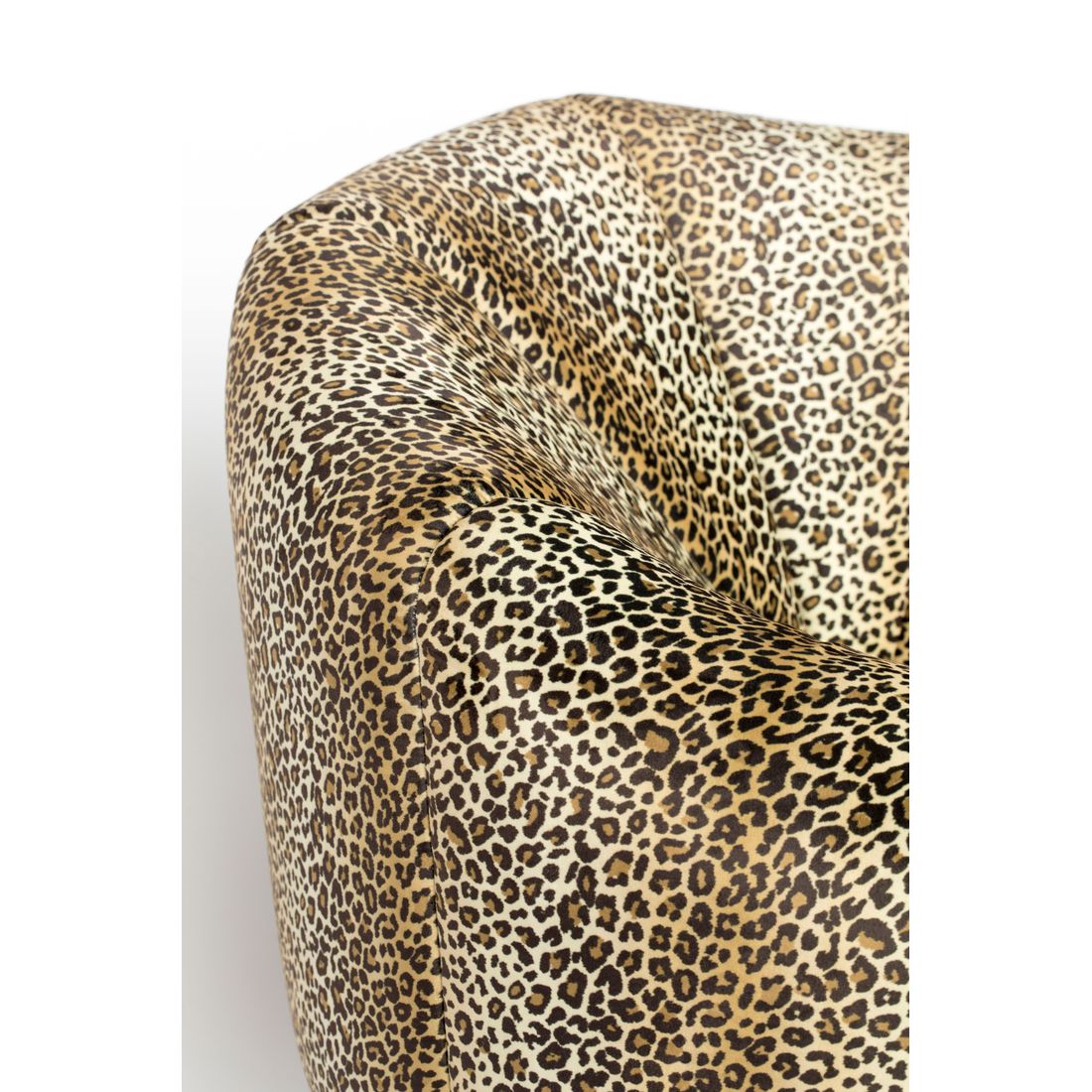 Bold Monkey Fauteuil Where The Sun Doesn't Shine Panther - KwaliteitWonen.nl