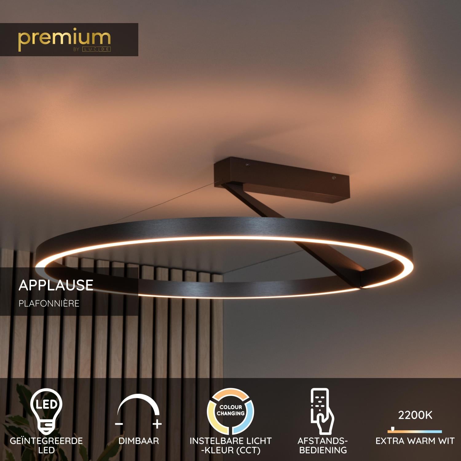 Lucide APPLAUSE - Plafonnière - Ø 60 cm - LED Dimb. - CCT - 1x40W 2200K/4000K - Grijs ijzer | Premium - KwaliteitWonen.nl