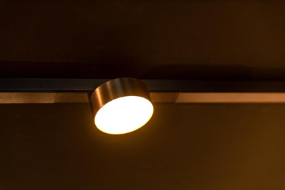 Lucide Premium LINIAL FIXT Railspot - 1-fase Railsysteem / Smart Railverlichting - Smart - 48V Track - 1xLED - Champagne - KwaliteitWonen.nl