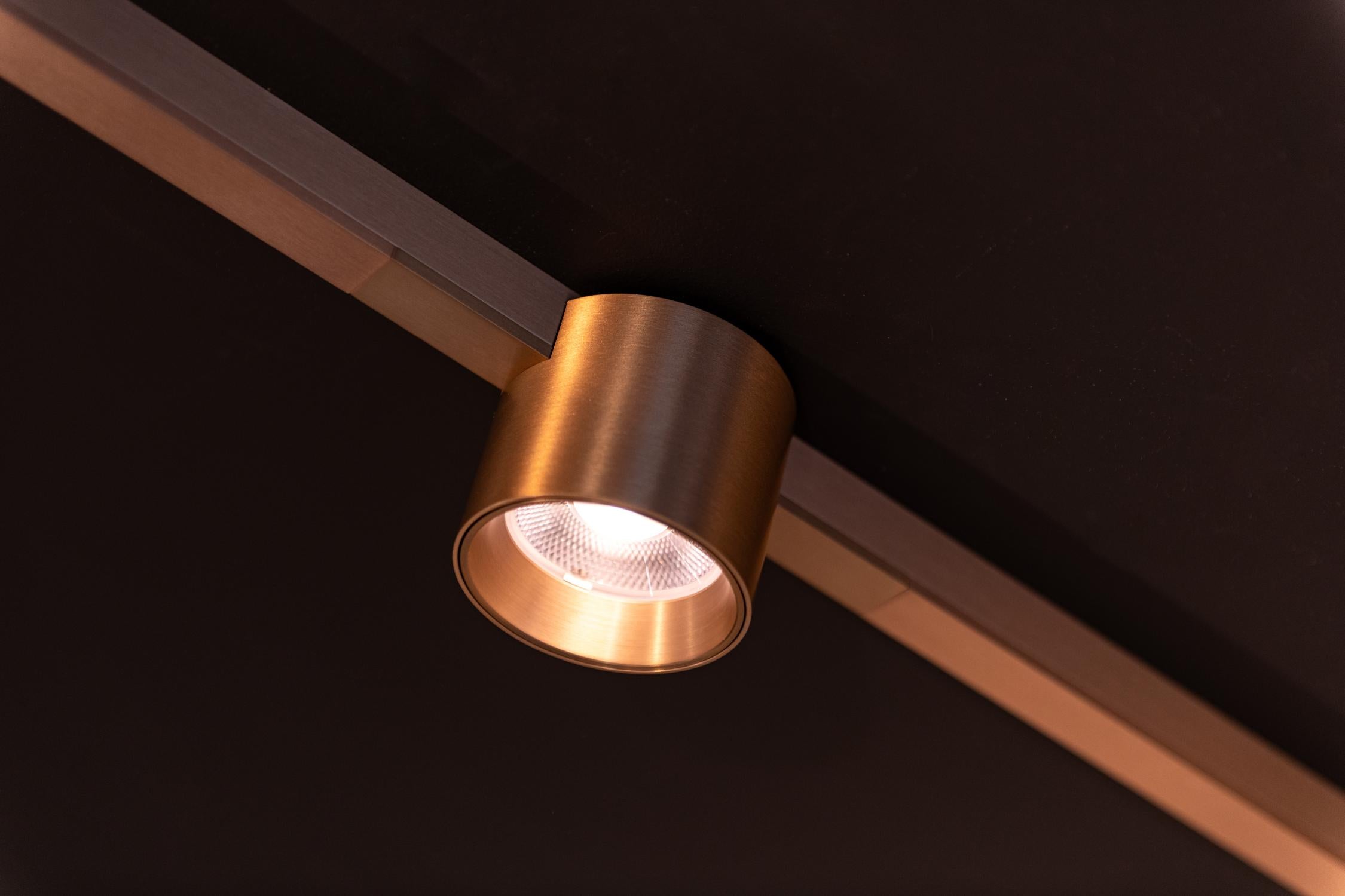Lucide Premium LINIAL LUX Railspot - 1-fase Railsysteem / Smart Railverlichting - Smart - 48V Track - 1xLED - Champagne - KwaliteitWonen.nl