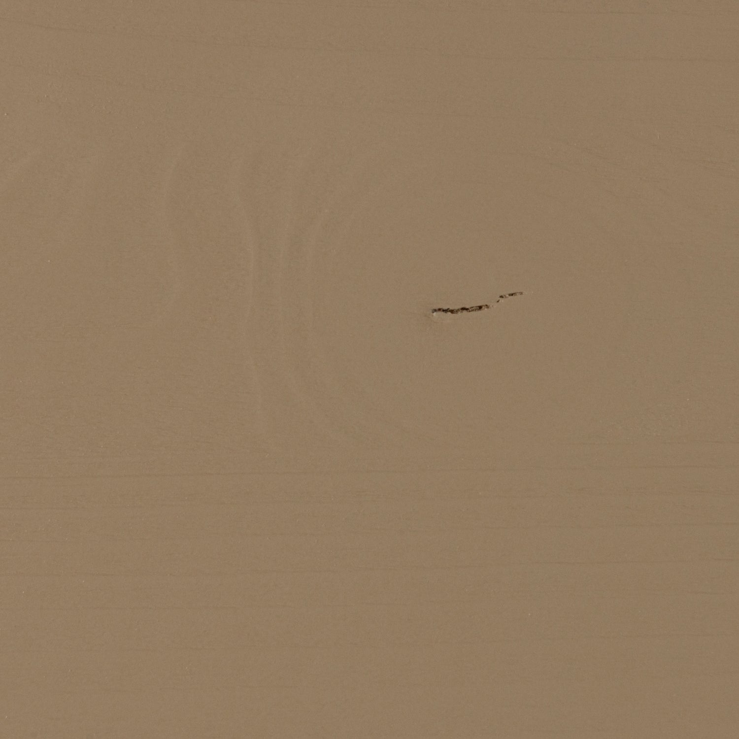 Woood Turner Platenkast Grenen Mud [Fsc] - KwaliteitWonen.nl
